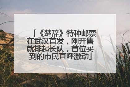 《楚辞》特种邮票在武汉首发，刚开售就排起长队，首位买到的市民直呼激动