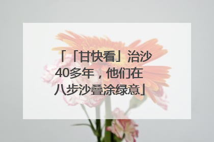 「甘快看」治沙40多年，他们在八步沙叠涂绿意