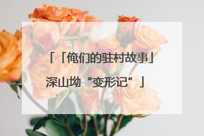 「俺们的驻村故事」深山坳“变形记”