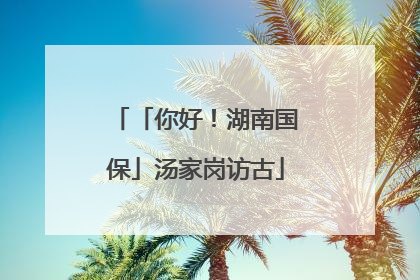 「你好！湖南国保」汤家岗访古