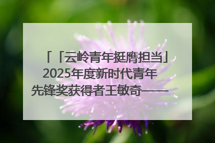 「云岭青年挺膺担当」2025年度新时代青年先锋奖获得者王敏奇——澜沧江上好渔人