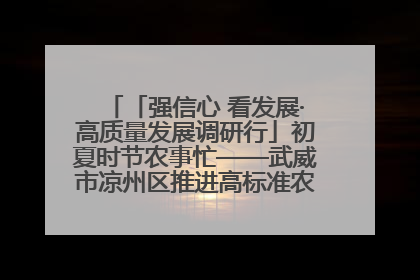 「强信心 看发展·高质量发展调研行」初夏时节农事忙——武威市凉州区推进高标准农田建设见闻