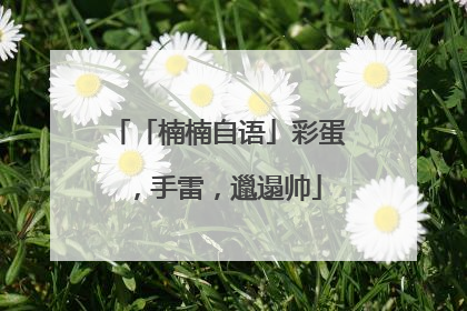 「楠楠自语」彩蛋，手雷，邋遢帅