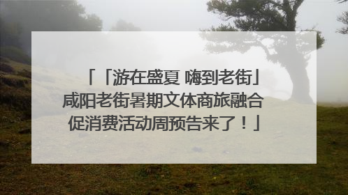 「游在盛夏 嗨到老街」咸阳老街暑期文体商旅融合促消费活动周预告来了！