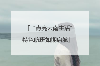“点亮云南生活”特色航班如期启航