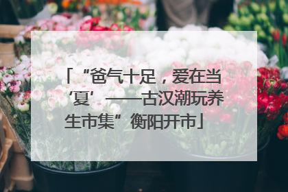 “爸气十足，爱在当‘夏’——古汉潮玩养生市集”衡阳开市