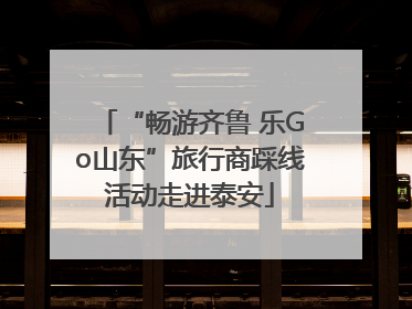 “畅游齐鲁 乐Go山东”旅行商踩线活动走进泰安
