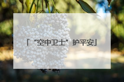 “空中卫士”护平安
