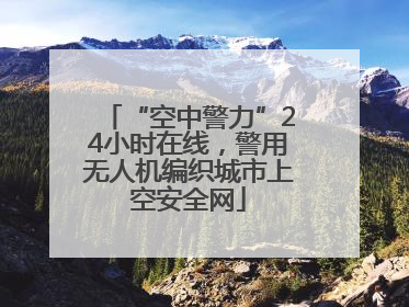 “空中警力”24小时在线，警用无人机编织城市上空安全网