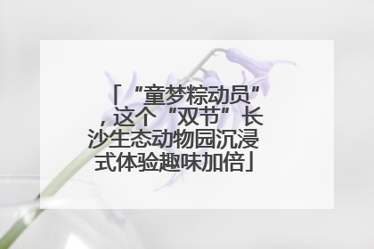 “童梦粽动员”，这个“双节”长沙生态动物园沉浸式体验趣味加倍