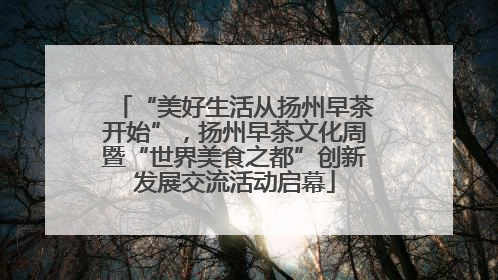 “美好生活从扬州早茶开始”，扬州早茶文化周暨“世界美食之都”创新发展交流活动启幕