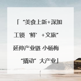 “美食上新+深加工锁‘鲜’+文旅”延伸产业链 小杨梅“撬动”大产业