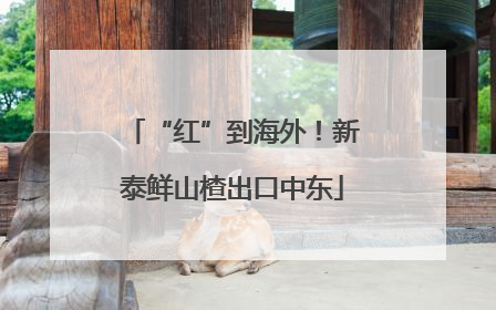 “红”到海外！新泰鲜山楂出口中东