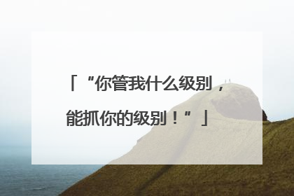 “你管我什么级别，能抓你的级别！”