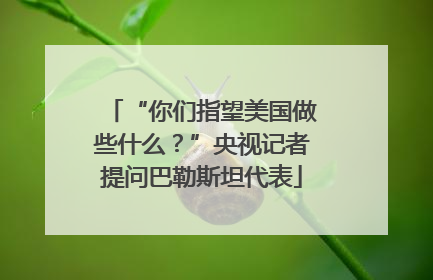 “你们指望美国做些什么？”央视记者提问巴勒斯坦代表