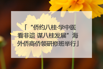 “侨约八桂·学中医 看非遗 谋八桂发展”海外侨商侨领研修班举行