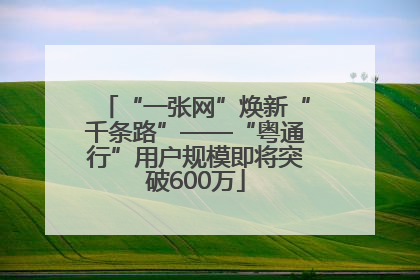 “一张网”焕新“千条路”——“粤通行”用户规模即将突破600万