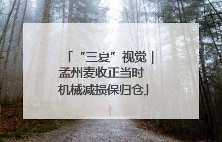 “三夏”视觉｜孟州麦收正当时 机械减损保归仓