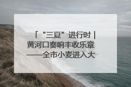 “三夏”进行时｜黄河口奏响丰收乐章——全市小麦进入大面积收获高峰期