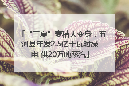 “三夏”麦秸大变身：五河县年发2.5亿千瓦时绿电 供20万吨蒸汽