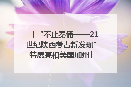 “不止秦俑——21世纪陕西考古新发现”特展亮相美国加州