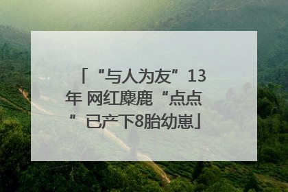 “与人为友”13年 网红麋鹿“点点”已产下8胎幼崽