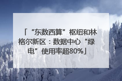 “东数西算”枢纽和林格尔新区：数据中心“绿电”使用率超80%