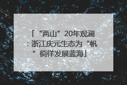 “两山”20年观澜：浙江庆元生态为“帆”徜徉发展蓝海