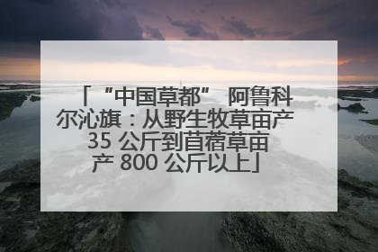 “中国草都” 阿鲁科尔沁旗：从野生牧草亩产 35 公斤到苜蓿草亩产 800 公斤以上