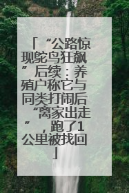 “公路惊现鸵鸟狂飙”后续：养殖户称它与同类打闹后“离家出走”，跑了1公里被找回