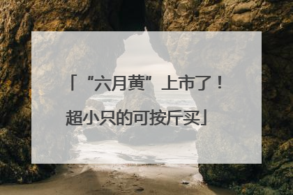 “六月黄”上市了！超小只的可按斤买