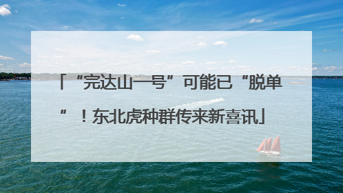 “完达山一号”可能已“脱单”！东北虎种群传来新喜讯