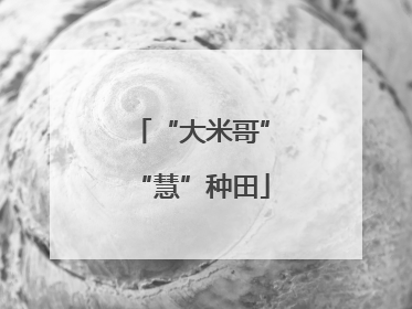 “大米哥”“慧”种田