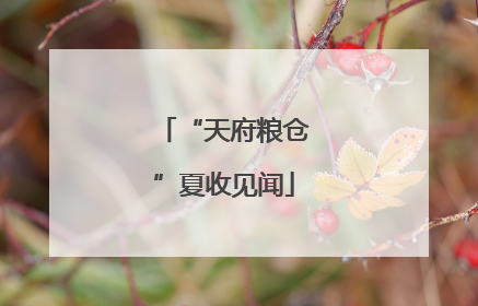 “天府粮仓”夏收见闻