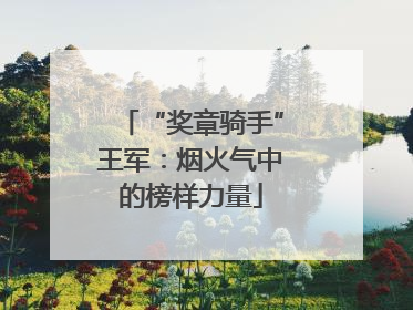 “奖章骑手”王军：烟火气中的榜样力量