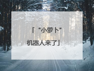 “小萝卜”机器人来了