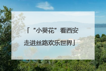 “小葵花”看西安走进丝路欢乐世界