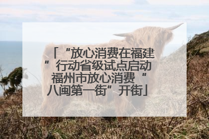 “放心消费在福建”行动省级试点启动 福州市放心消费“八闽第一街”开街
