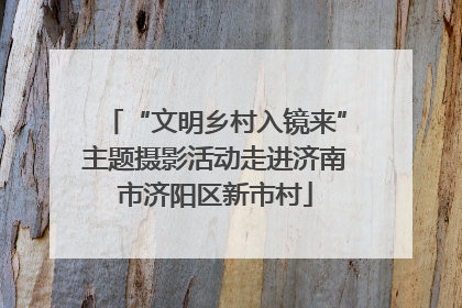 “文明乡村入镜来”主题摄影活动走进济南市济阳区新市村