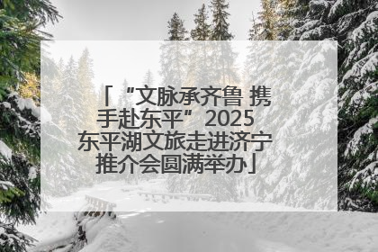 “文脉承齐鲁 携手赴东平”2025东平湖文旅走进济宁推介会圆满举办