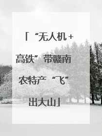 “无人机＋高铁”带赣南农特产“飞”出大山