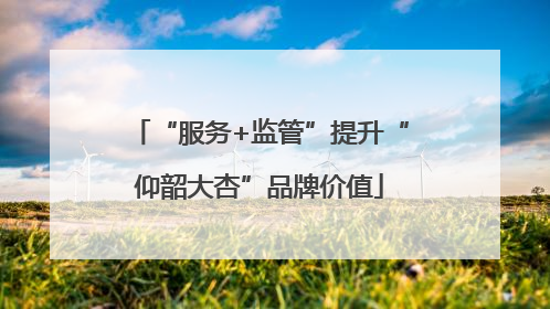 “服务+监管”提升“仰韶大杏”品牌价值