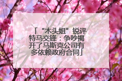 “木头姐”锐评特马交锋：争吵揭开了马斯克公司有多依赖政府合同