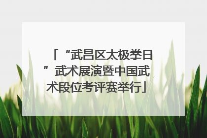 “武昌区太极拳日”武术展演暨中国武术段位考评赛举行