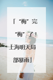 “梅”完“梅”了！上海明天局部暴雨
