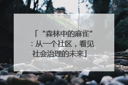 “森林中的麻雀”：从一个社区，看见社会治理的未来