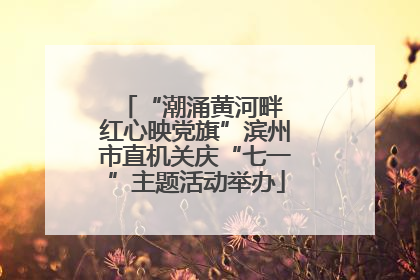 “潮涌黄河畔 红心映党旗”滨州市直机关庆“七一”主题活动举办