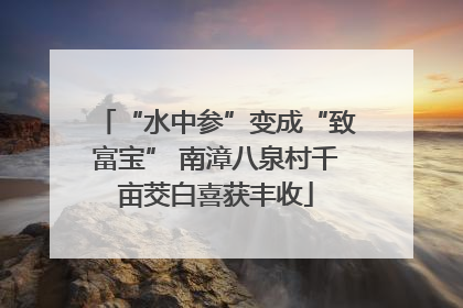 “水中参”变成“致富宝” 南漳八泉村千亩茭白喜获丰收