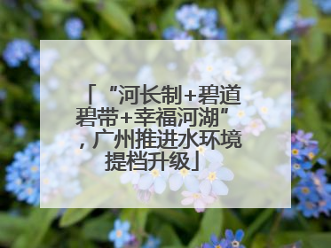 “河长制+碧道碧带+幸福河湖”，广州推进水环境提档升级