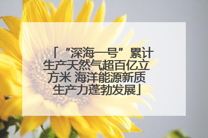 “深海一号”累计生产天然气超百亿立方米 海洋能源新质生产力蓬勃发展